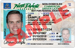 Driver License And Non Driver ID NDDOT   Non Federal ID   Non Domiciled   13 ND D201PR H CDL 